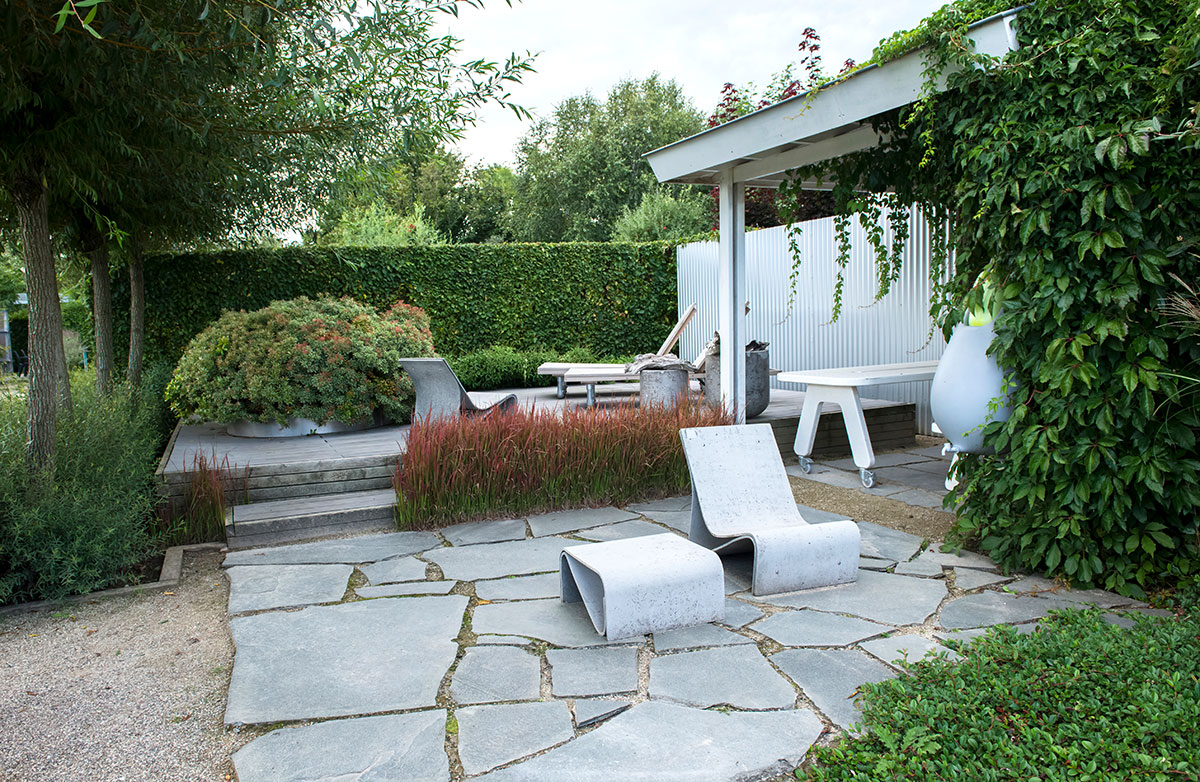 Modern Garden
