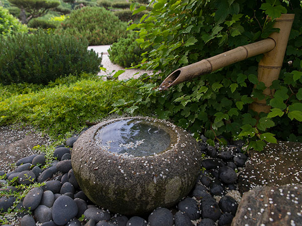 Zen Garden